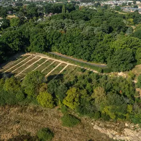 Poole & Wimborne Woodland Burial Ground & Funeral Directors