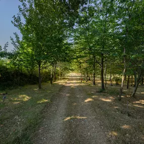 Poole & Wimborne Woodland Burial Ground & Funeral Directors