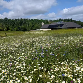 Bild von East Devon Crematorium