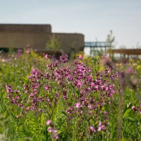 Bild von The Oaks Havant Crematorium