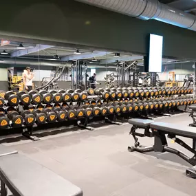 Bild von Basic-Fit 24/7