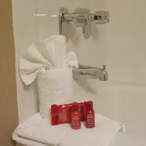 Standard Guest Bathroom Amenities