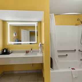 Mobility Accessible King Bathroom