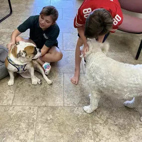 Dog days of summer at Chester Lewis’s State Farm Agency!!!!