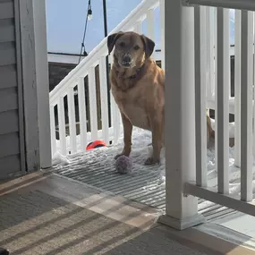 Jake had the best snow day ever yesterday!