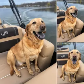 Jake had a small photo shoot on the boat today!