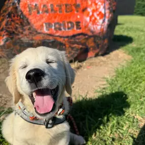 Gus had to go work his second job today.