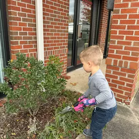 We've been a bit busy writing your policies lately, that the landscaping got out of control! We had to bring in a professional dirt mover!! 
Payment made by Cake Pops at Deja Brew at Miney Branch!