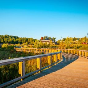 Take a stroll on the walking paths at Cumming City Center