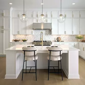 Stunning kitchens equipped with designer appointed features