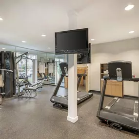 Health club  fitness center  gym