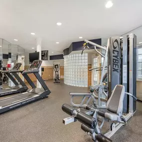 Health club  fitness center  gym