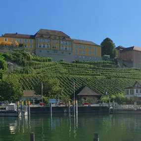 Bild von Immobilien Piesch