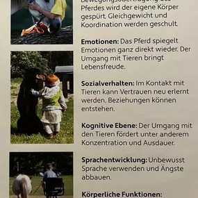 Bild von Reittherapie, Tiergestützte Therapie Sonja Gregori