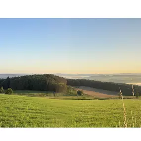 Bild von Reittherapie, Tiergestützte Therapie Sonja Gregori