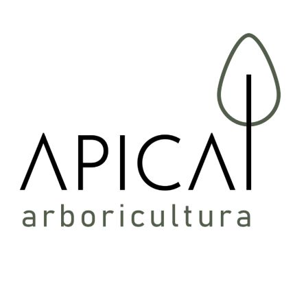 Logo od Podas Y Talas Apical
