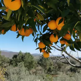 Bild von Casa Rural El Mirador de ACebo