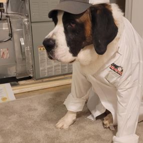 One Hour Heating & Air Conditioning of Cockeysville, MD Mascot sitting next to a completed AC Installation