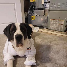 One Hour Heating & Air Conditioning of Cockeysville, MD Mascot sitting next to a completed AC Installation