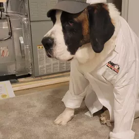 One Hour Heating & Air Conditioning of Cockeysville, MD Mascot sitting next to a completed AC Installation