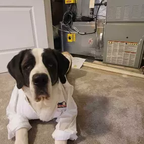 One Hour Heating & Air Conditioning of Cockeysville, MD Mascot sitting next to a completed AC Installation