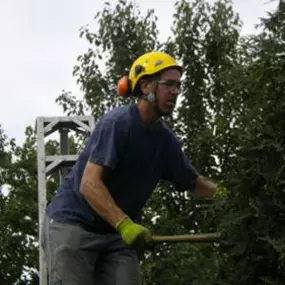 Bild von Andrew's Arboriculture