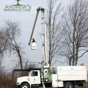 Bild von Andrew's Arboriculture