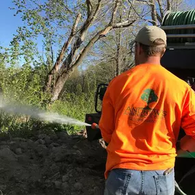 Bild von Andrew's Arboriculture