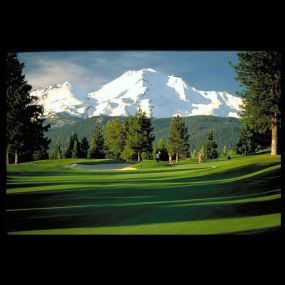 Bild von Mount Shasta Resort