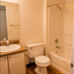 Apartment Upgraded Bathroom