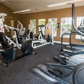 Fitness Center & Equipment