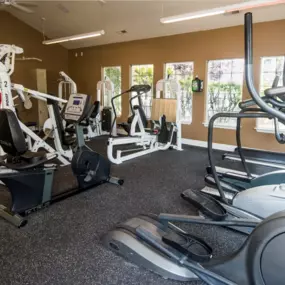 Fitness Center & Equipment