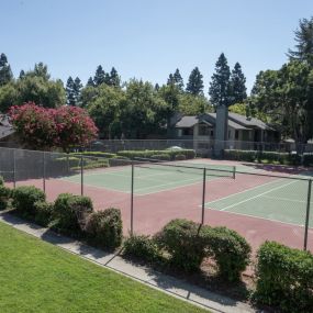 Tennis courts at Delta Pointe Apartments
