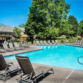 Pool & Lounge Chairs