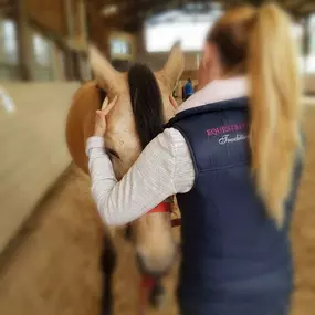 Bild von Ostéopathe animalier - Mélissa CHAVANNE (Cheval | Chien | Chat | Nac)