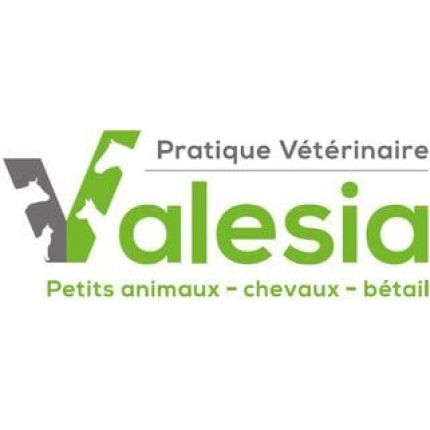 Logo de Pratique Vétérinaire Valesia SA