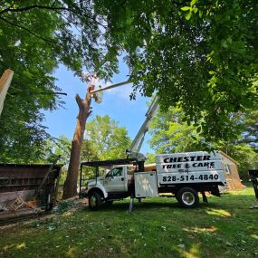 Chester Tree Care provides professional tree removal services for residential and commercial properties. Whether you have a dead, diseased, or unwanted tree, our experienced team safely and efficiently removes it, leaving your property clean and hazard-free. With the latest equipment and expertise, we ensure that the tree removal process is completed with minimal disruption and maximum safety.
