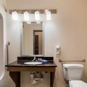 Accessible Bathroom