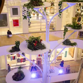 Bild von Minto Mönchengladbach