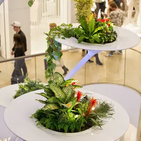 Bild von Minto Mönchengladbach