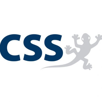 Λογότυπο από CSS AG
