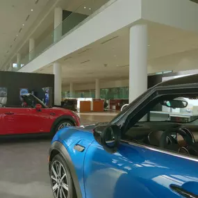 MINI vehicles in the Lauderdale MINI showroom