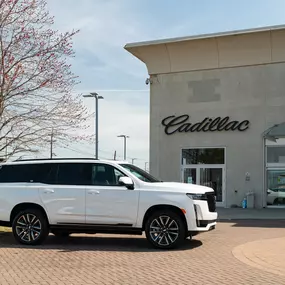 White Cadillac Escalade in front of Holman Cadillac entrance