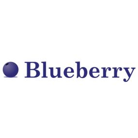 Bild von Blueberry Business