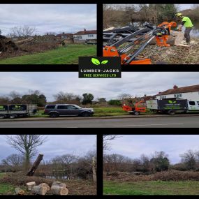 Bild von Lumber-Jacks Tree Services Ltd
