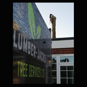 Bild von Lumber-Jacks Tree Services Ltd