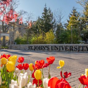 Bild von St John's University