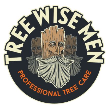 Logo von Tree Wise Men