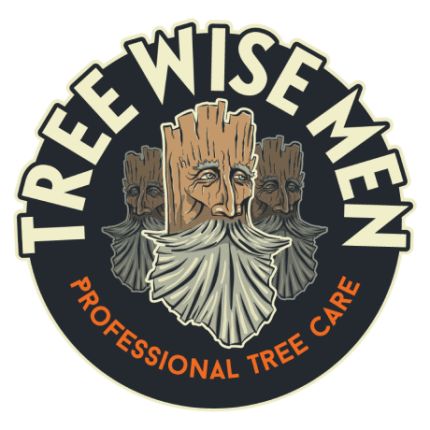 Logotyp från Tree Wise Men