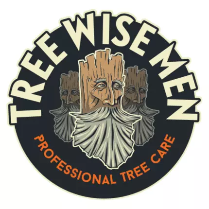 Logo od Tree Wise Men